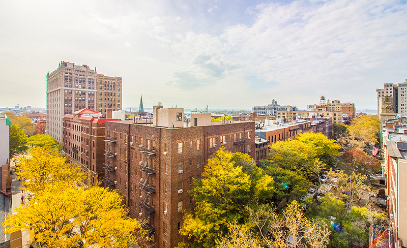 75 Clinton Street, #6A