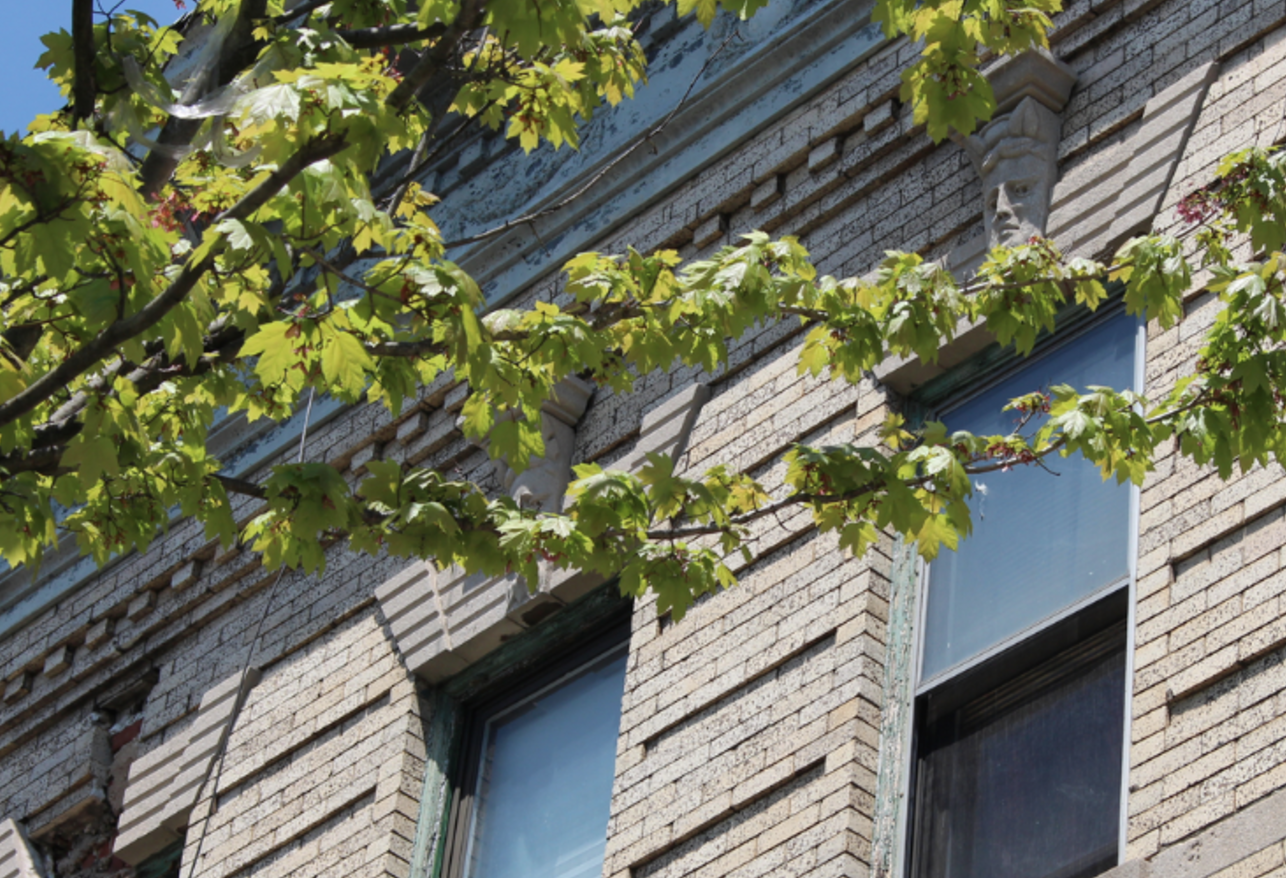 603 Woodward Avenue, #4