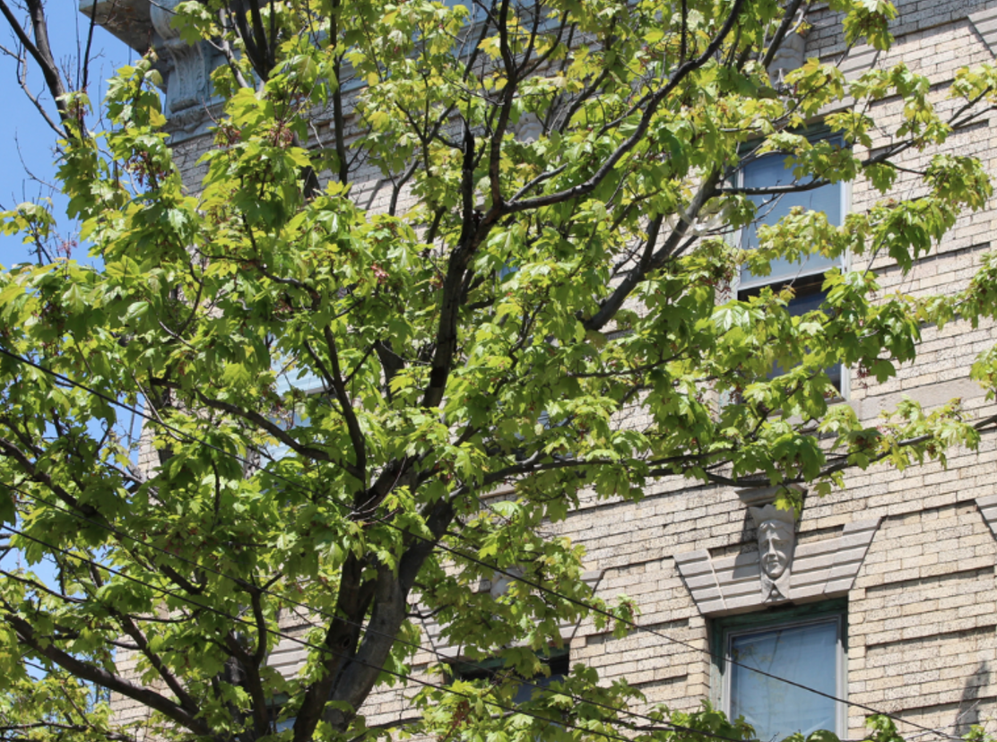 603 Woodward Avenue, #4
